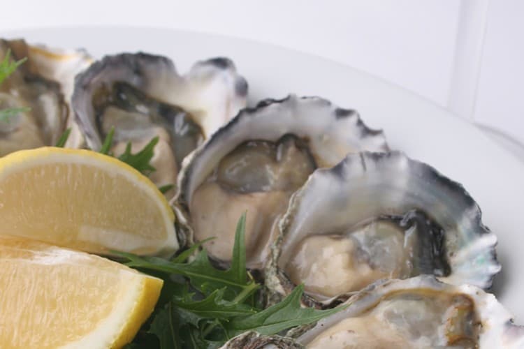 Moreton Bay Rock Oysters