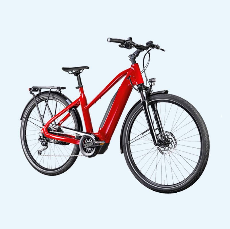 Electric Pedal Assisted Bicycles
